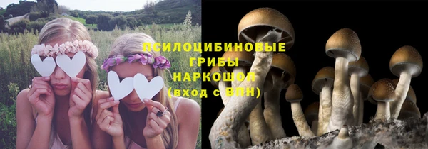 тгк Володарск