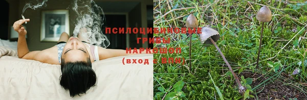 мяу мяу кристалл Анива