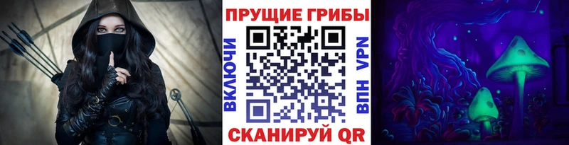 Псилоцибиновые грибы GOLDEN TEACHER  Купить где  Завитинск 